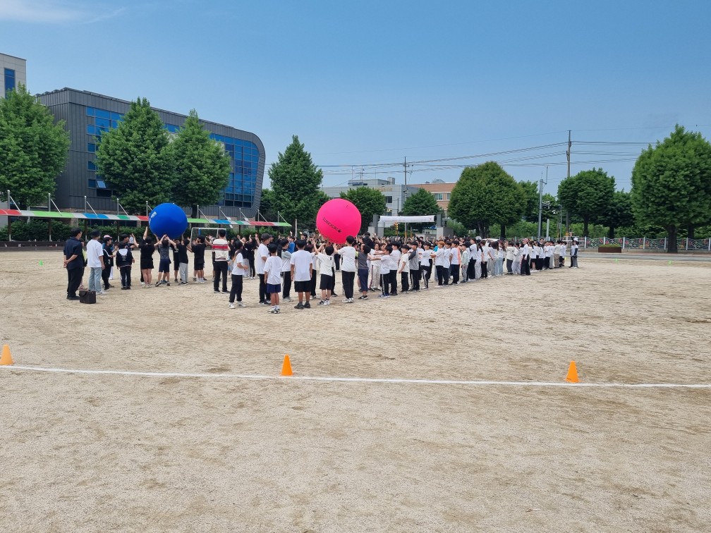 5학년 체육대회 사진